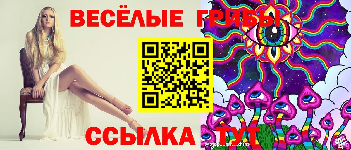 закладка  Вход с VPN  Буйнакск  Псилоцибиновые грибы MAGIC MUSHROOMS  Галлюциногенные грибы Psilocybine cubensis 